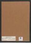 Cymatopleura elliptica var. rhomboides Grun. (de-Toni-Nr.: Genus 54, Species 2410) Zeichnungen Sammlung Grunow Mappe 02596 (Herbarium_W_Grunow_drawings_Folder_02596)